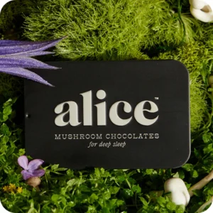 Alice mushroom chocolate bars